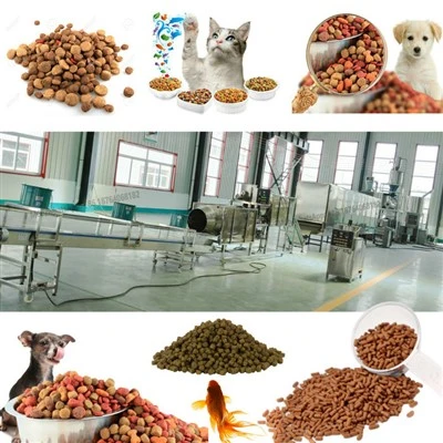 Pet Food Producent i Kina